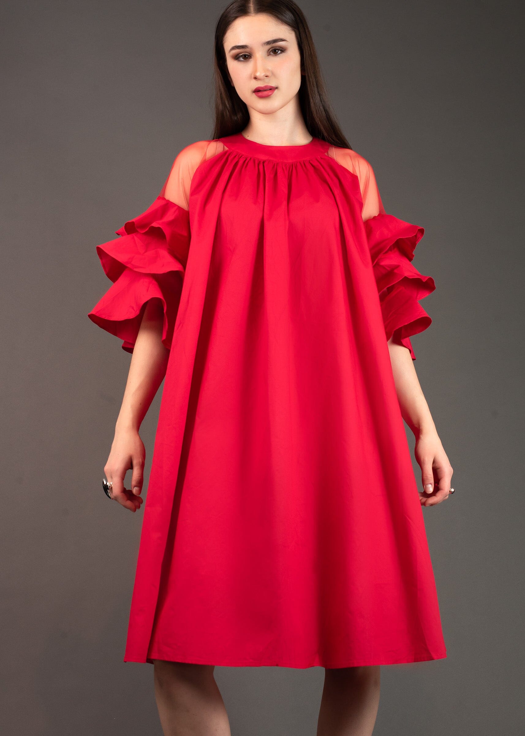 Sheer Ruffle Sleeve Dress Dresses Kate Hewko 