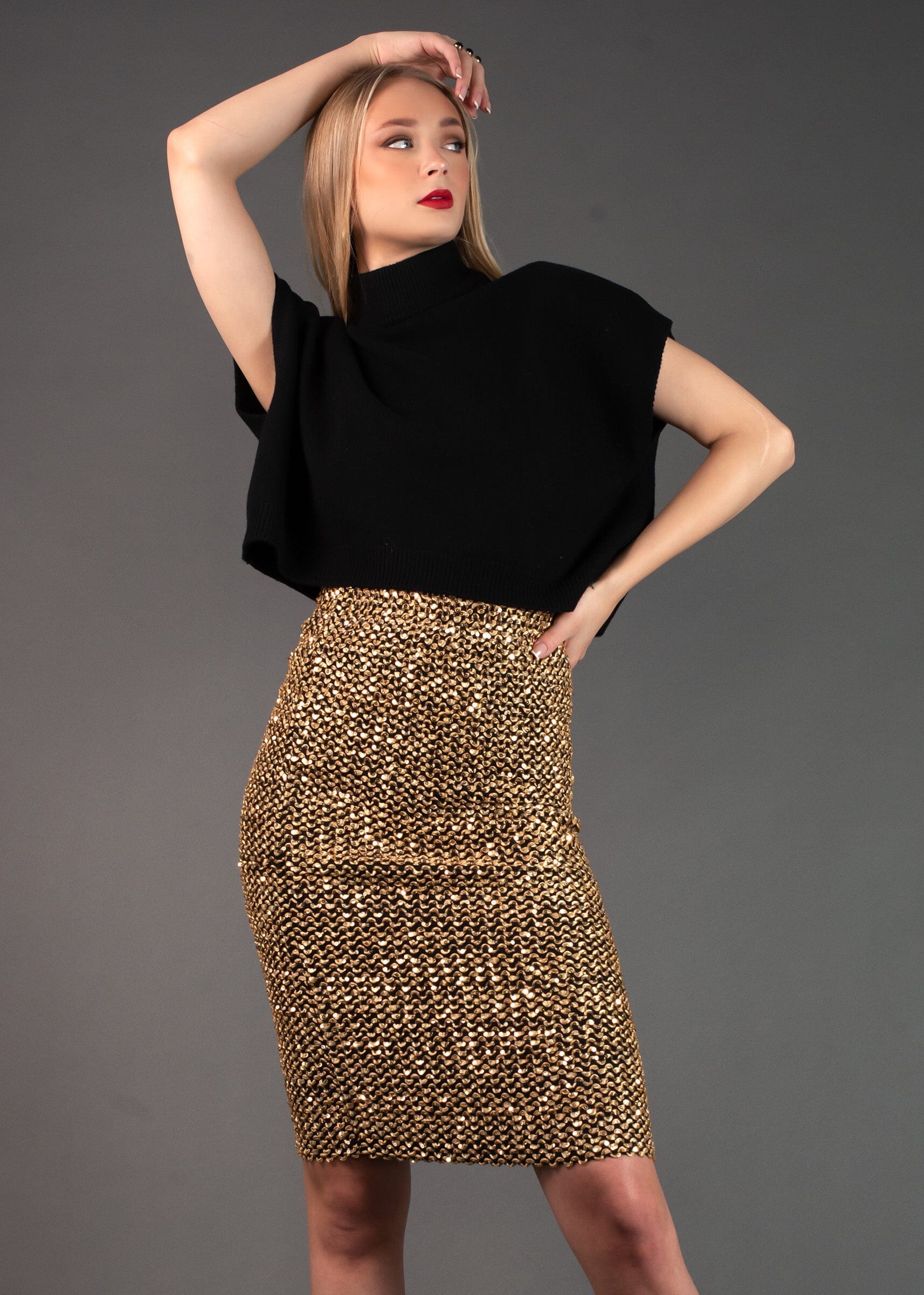 Sequin Embellished Pencil Skirt Skirts Kate Hewko 